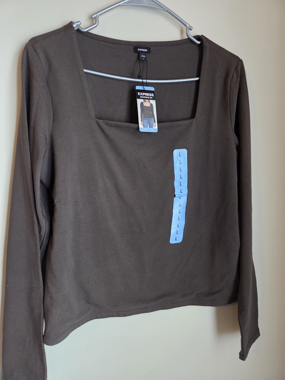 Express Brown Long Sleeve Square Neck Top